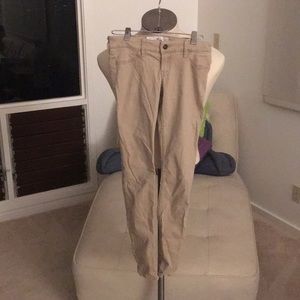 Hollister pants
